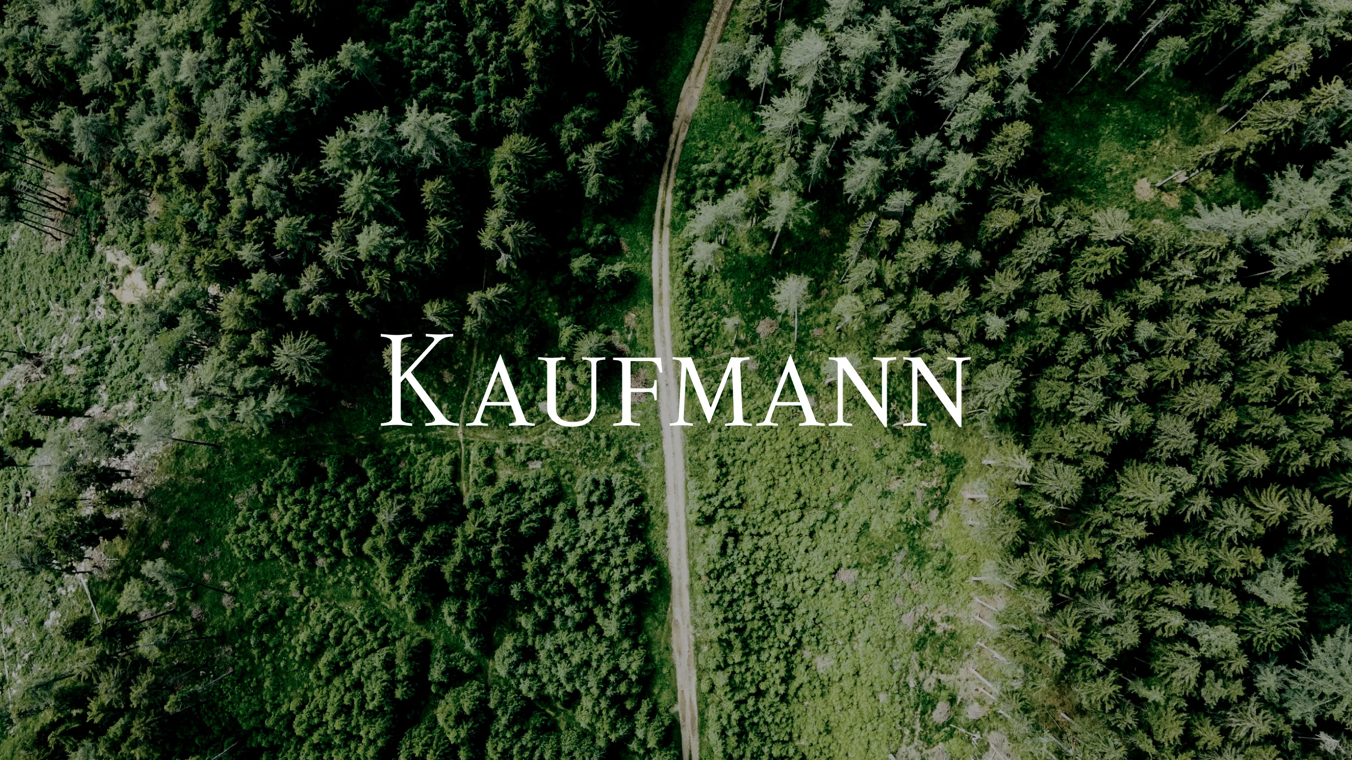 Kaufmann — aerial view of forest road